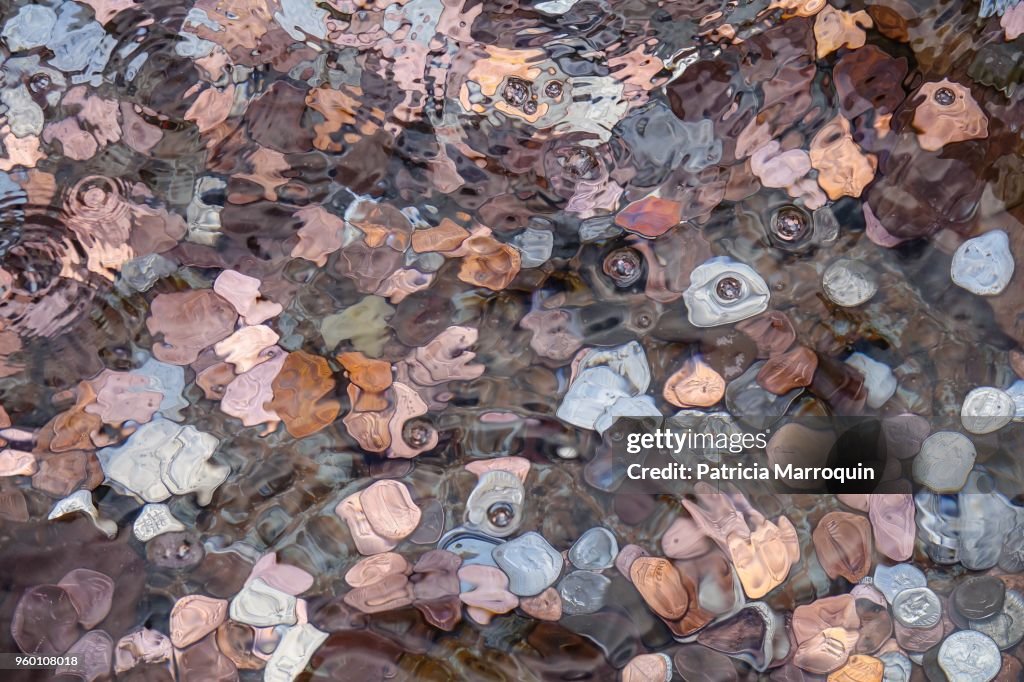 Coins in a Wishing Well