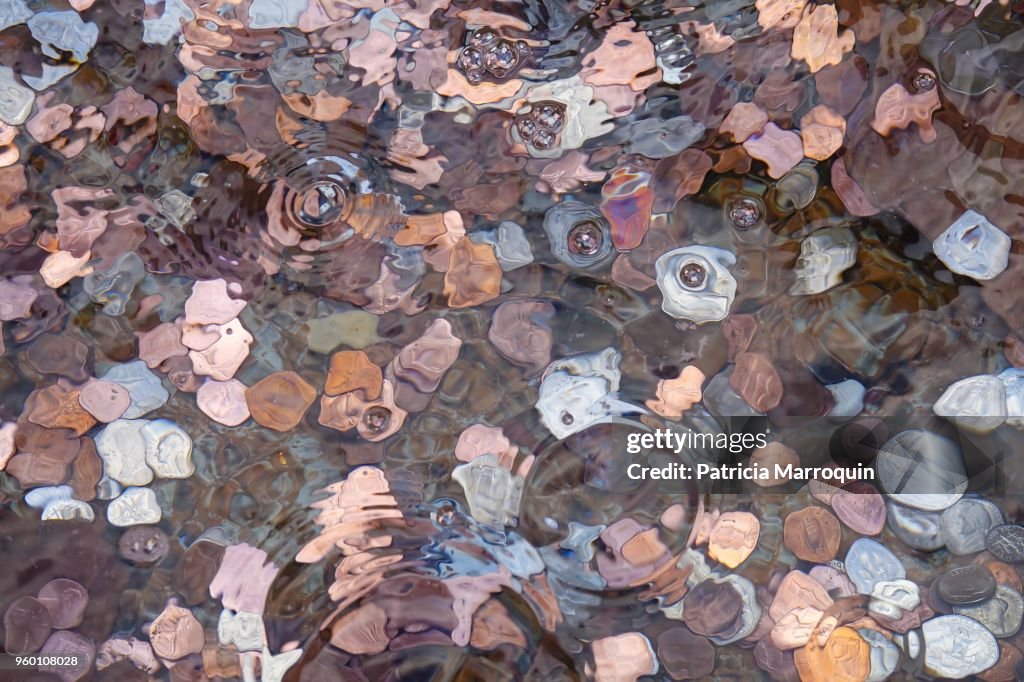 Coins in a Wishing Well