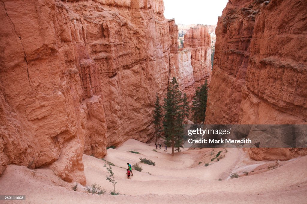 Tourists on the Navajo Loop trail walking through the switchback section called Wall Street