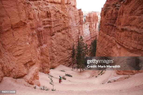 Switch Back Path Dwarn Switchback Photos and Premium High Res Pictures - Getty Images