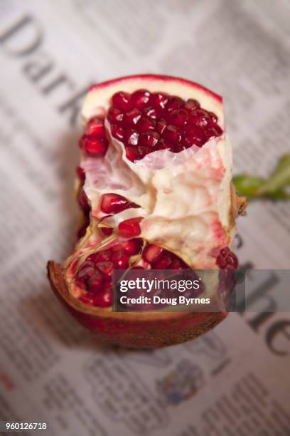 fresh pomegranate - doug byrnes stock-fotos und bilder