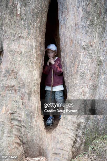 boy in a trunk - doug byrnes stock-fotos und bilder