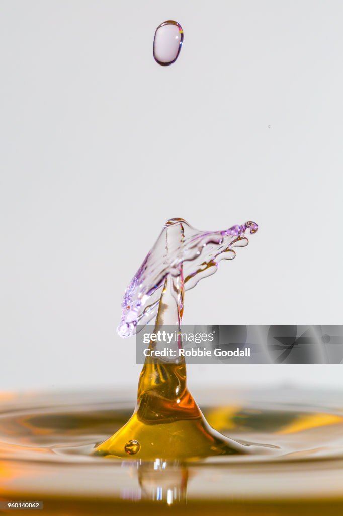 Water drip on a light grey backdrop