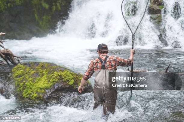 conto do pescador - kachemak bay - fotografias e filmes do acervo