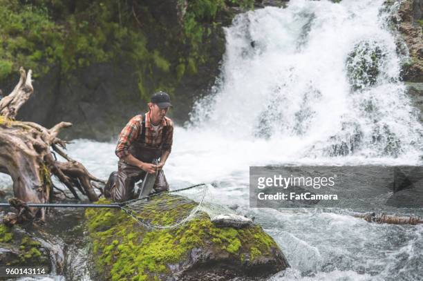 a fisherman's tale - kachemak bay stock pictures, royalty-free photos & images