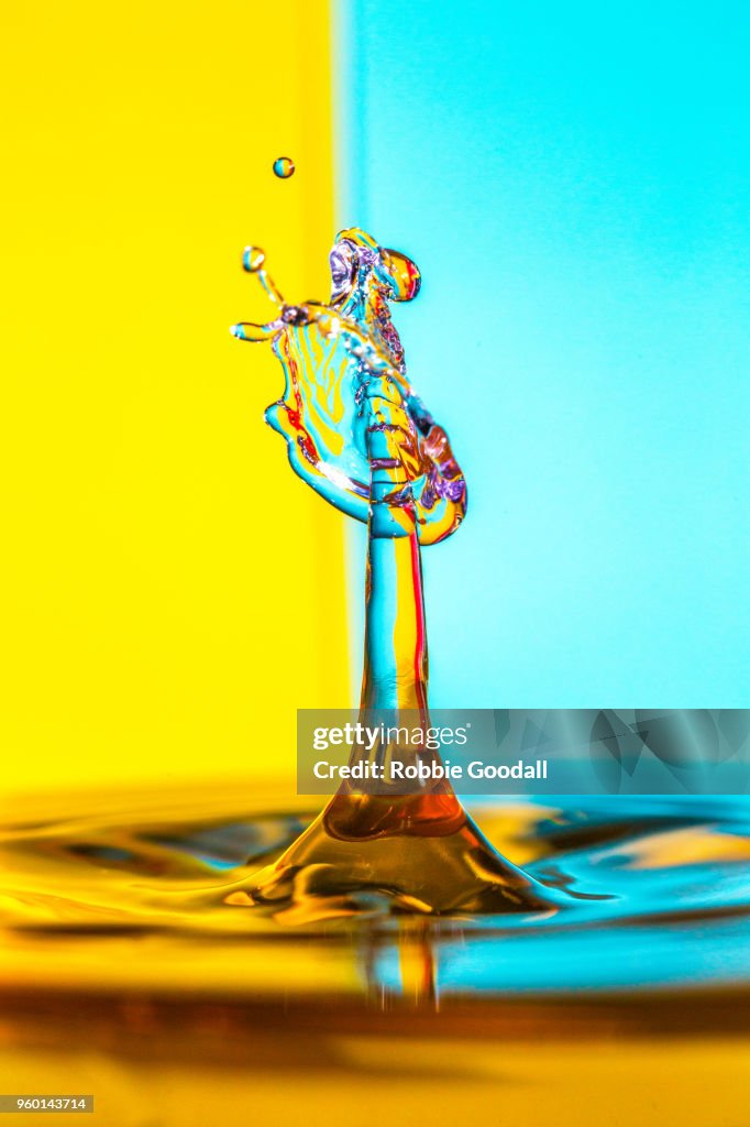 Water Drip on a blue and yellow striped backdrop