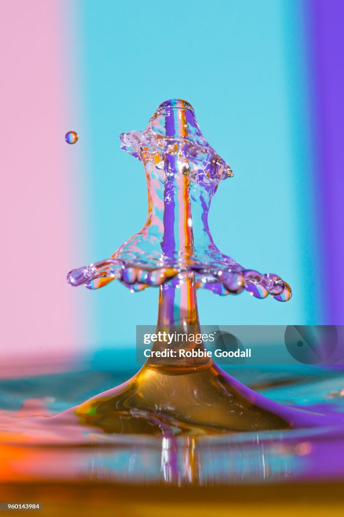 Water Drip on a pink, blue and Purple striped backdrop
