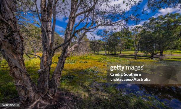 Musgrave Area 241 Musgrave Queensland Stock Photos, High-Res Pictures, and Images ...
