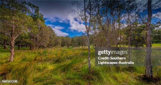 Musgrave Area 241 Musgrave Queensland Stock Photos, High-Res Pictures, and Images ...