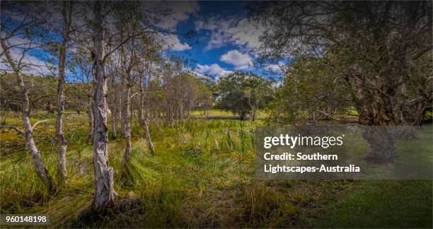 Musgrave Area Musgrave Queensland Photos and Premium High Res Pictures - Getty Images