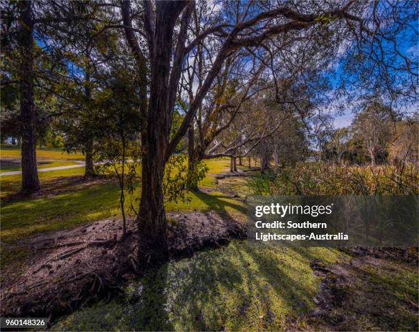 Musgrave Area 241 Musgrave Queensland Stock Photos, High-Res Pictures, and Images ...