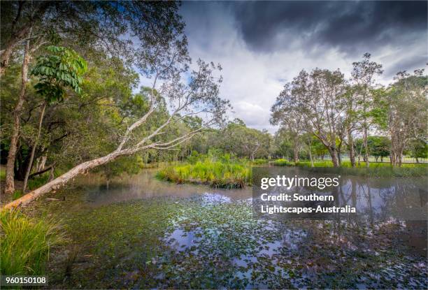 Musgrave Area 241 Musgrave Queensland Stock Photos, High-Res Pictures, and Images ...