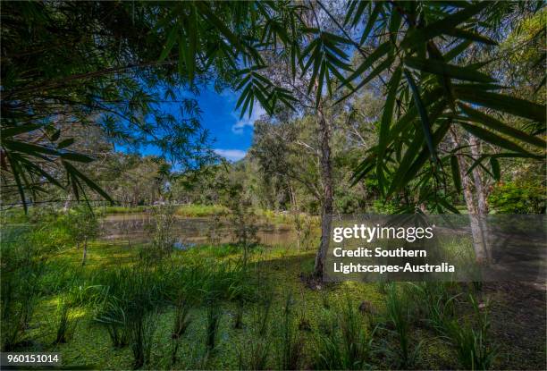Musgrave Area 241 Musgrave Queensland Stock Photos, High-Res Pictures, and Images ...