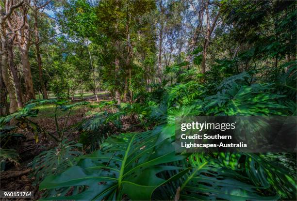 Musgrave Area 241 Musgrave Queensland Stock Photos, High-Res Pictures, and Images ...