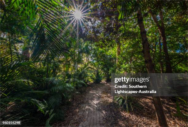 Musgrave Area Musgrave Queensland Photos and Premium High Res Pictures - Getty Images