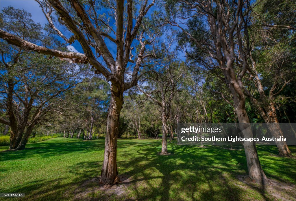 Musgrave Park, Southport, Gold coast, Queensland, Australia.