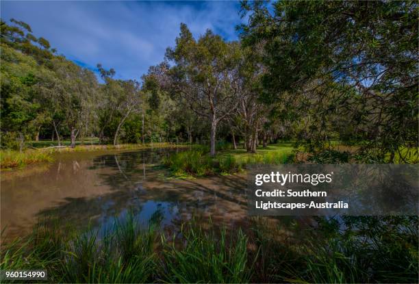 Musgrave Area 241 Musgrave Queensland Stock Photos, High-Res Pictures, and Images ...