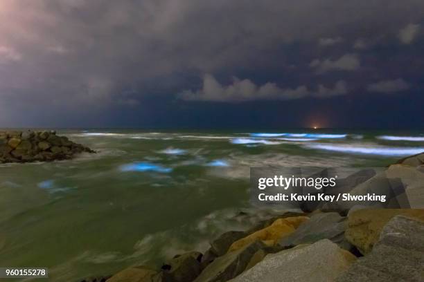 may 2018 bioluminescent red tide in san diego county - phytoplankton stock pictures, royalty-free photos & images