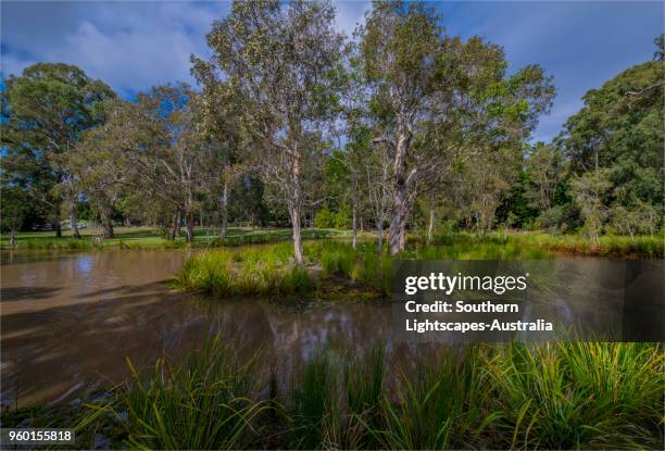 Musgrave Area Musgrave Queensland Photos and Premium High Res Pictures - Getty Images
