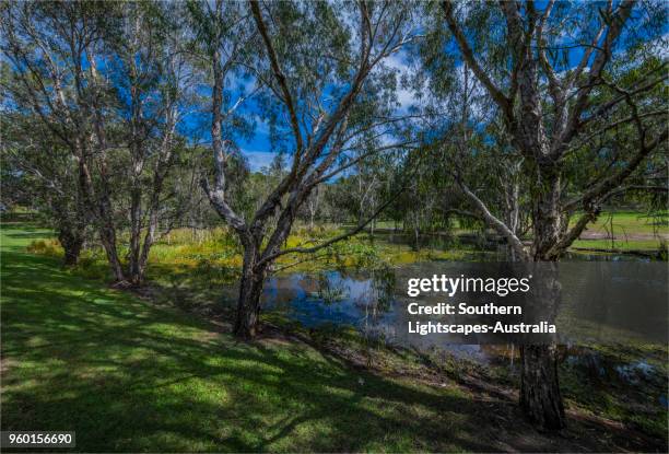 Musgrave Area 241 Musgrave Queensland Stock Photos, High-Res Pictures, and Images ...