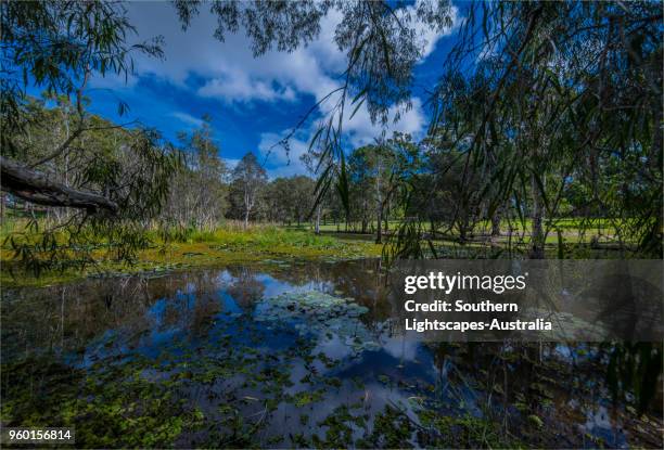 Musgrave Area 241 Musgrave Queensland Stock Photos, High-Res Pictures, and Images ...