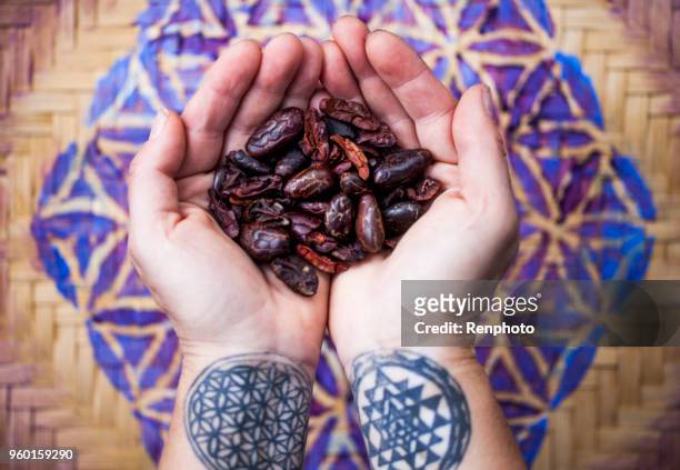 hands holding cacao beans - renphoto stock pictures, royalty-free photos & images