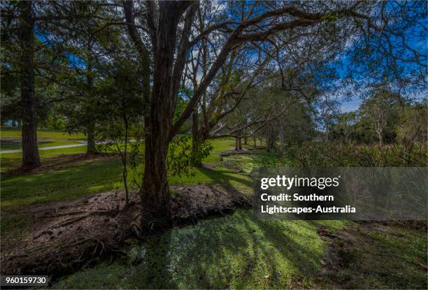 Musgrave Area 241 Musgrave Queensland Stock Photos, High-Res Pictures, and Images ...