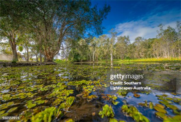 Musgrave Area Musgrave Queensland Photos and Premium High Res Pictures - Getty Images