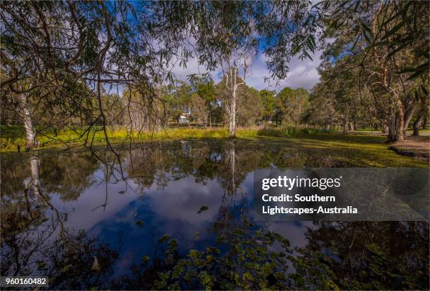 Musgrave Area 241 Musgrave Queensland Stock Photos, High-Res Pictures, and Images ...