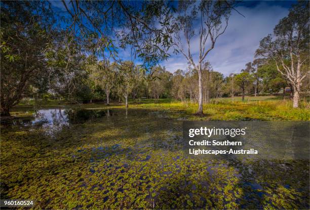 Musgrave Area 240 Musgrave Queensland Stock Photos, High-Res Pictures, and Images ...