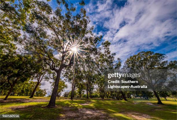 Musgrave Area 240 Musgrave Queensland Stock Photos, High-Res Pictures, and Images ...