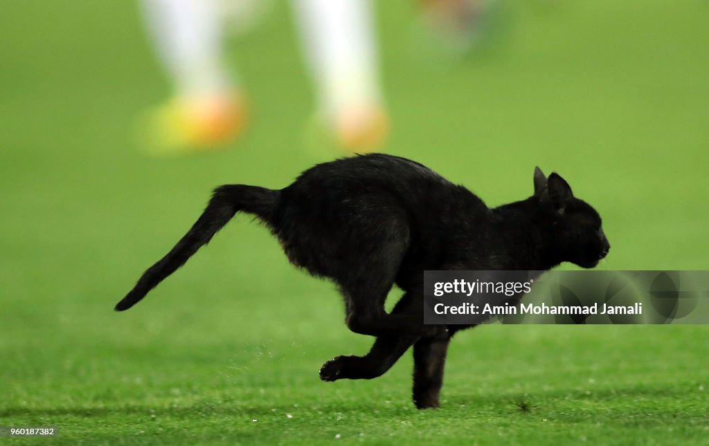 Iran v Uzbekistan - International Friendly
