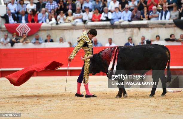 French matador Sebastien Castella makes a muleta pass on a Garcigrande fighting bull on May 19, 2018 during the Nîmes Pentecost Feria, southern...