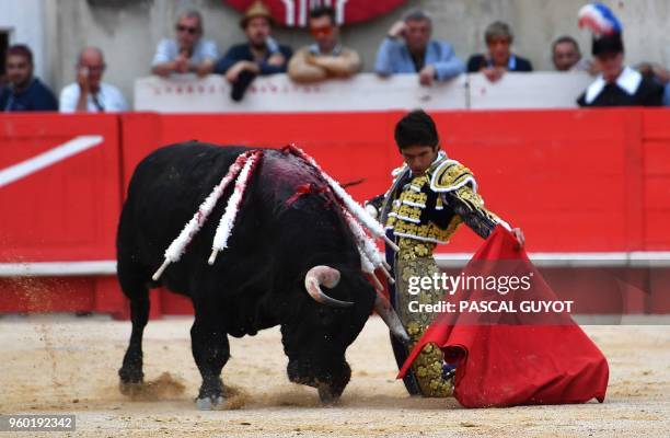 French matador Sébastien Castella makes a muleta pass on a Garcigrande fighting bull during the Nîmes Pentecost Feria, southern France on May 19,...