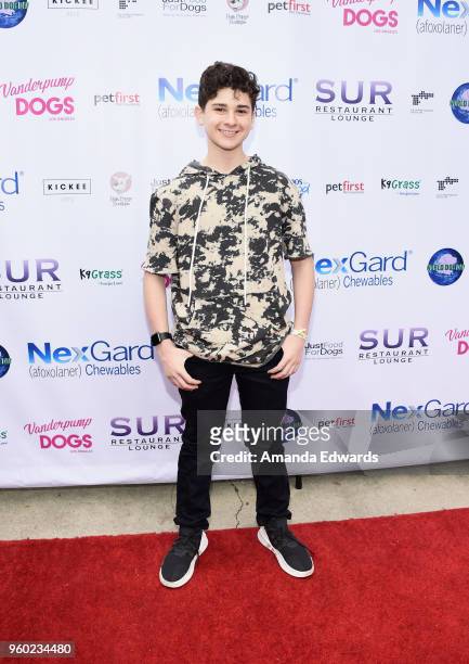 Actor Jax Malcolm attends the Lisa Vanderpump and The Vanderpump Dog Foundation's 3rd Annual World Dog Day at West Hollywood Park on May 19, 2018 in...