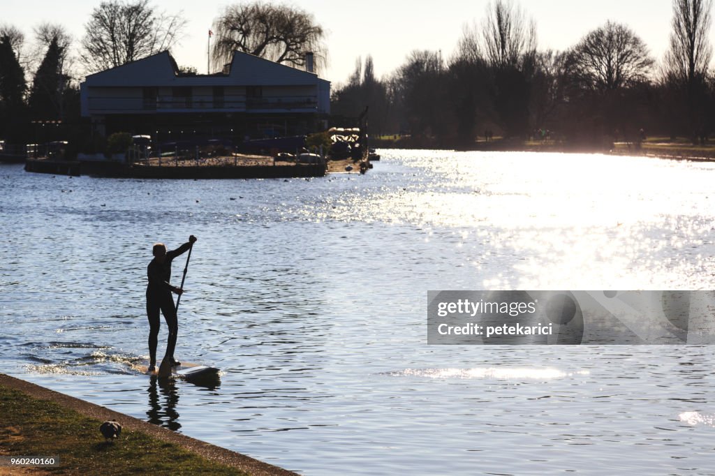 英國泰晤士河畔的 Paddleboarding 泰晤士河畔