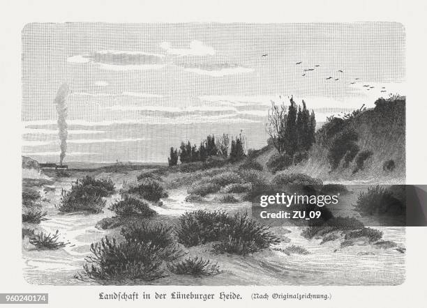 landschaft in lüneburg heath, holzstich, veröffentlicht im jahre 1897 - etica stock-grafiken, -clipart, -cartoons und -symbole
