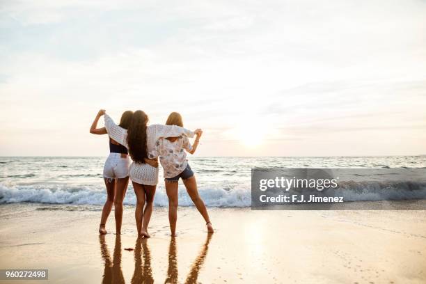 three young women looking towards the sea on the beach - carefree beach stock pictures, royalty-free photos & images