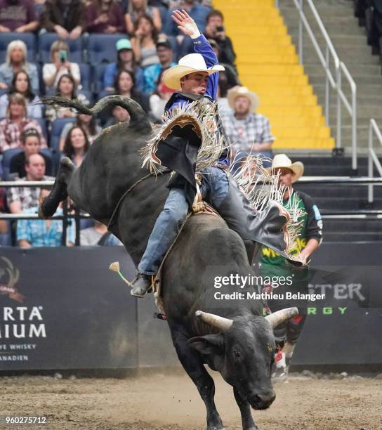 Justin's First Bull Ride 8,204 Professional Bull Riders Stock Photos, High-Res Pictures, and ...