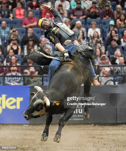 Justin's First Bull Ride 13,894 Pbr Stock Photos, High-Res Pictures, and Images - Getty Images