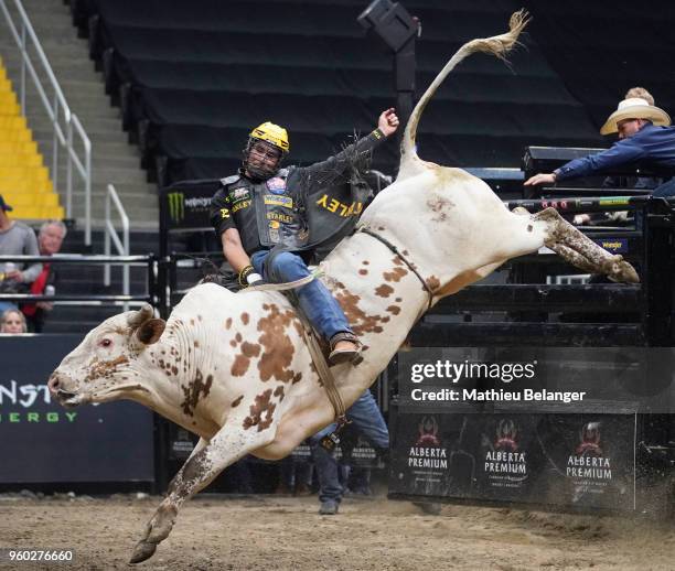 Justin's First Bull Ride 13,894 Pbr Stock Photos, High-Res Pictures, and Images - Getty Images