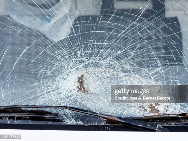 shattered windshield after car crash. vehicle accident. broken glass. - traffic accident stock-fotos und bilder