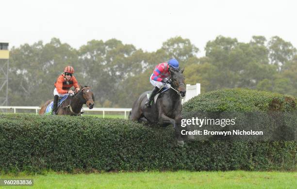 Zataglio ridden by Martin Kelly jumps during the Phil Pullen & Co Open Steeplechase at Casterton Racecoure on May 20, 2018 in Casterton, Australia.