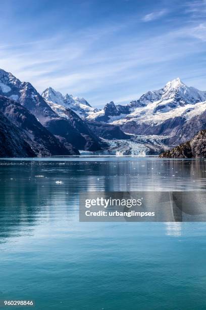 alaskas glacier bay np: johns hopkins gletscher, sommer - alaska location stock-fotos und bilder