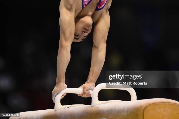 Kenzo Shirai of Japan competes on the pommel horse during day two of the 57th Artistic Gymnastics NHK Trophy at the Tokyo Metropolitan Gymnasium on...