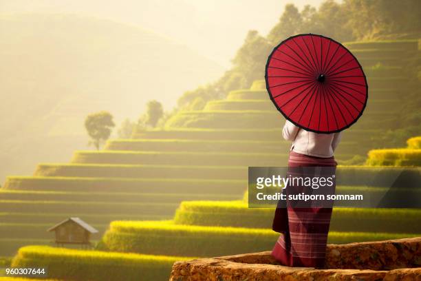 traveller woman holding umbrella at rice field terrace - hot vietnamese women stock pictures, royalty-free photos & images