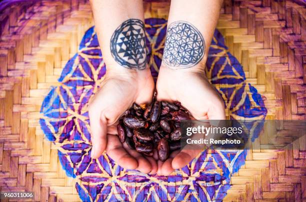 cacao beans: super food raw chocolate - renphoto stock pictures, royalty-free photos & images