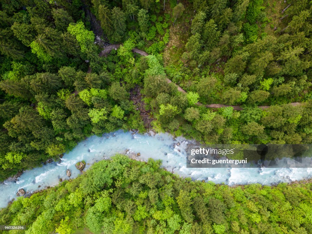 Whitewater River in einem grünen Frühlingswald (Steyr, Oberösterreich)