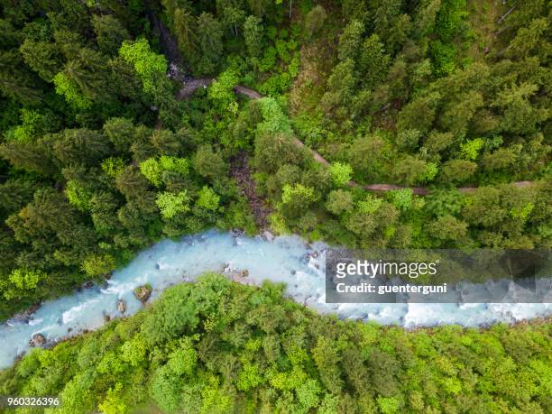 whitewater river in einem grünen frühlingswald (steyr, oberösterreich) - austria stock-fotos und bilder