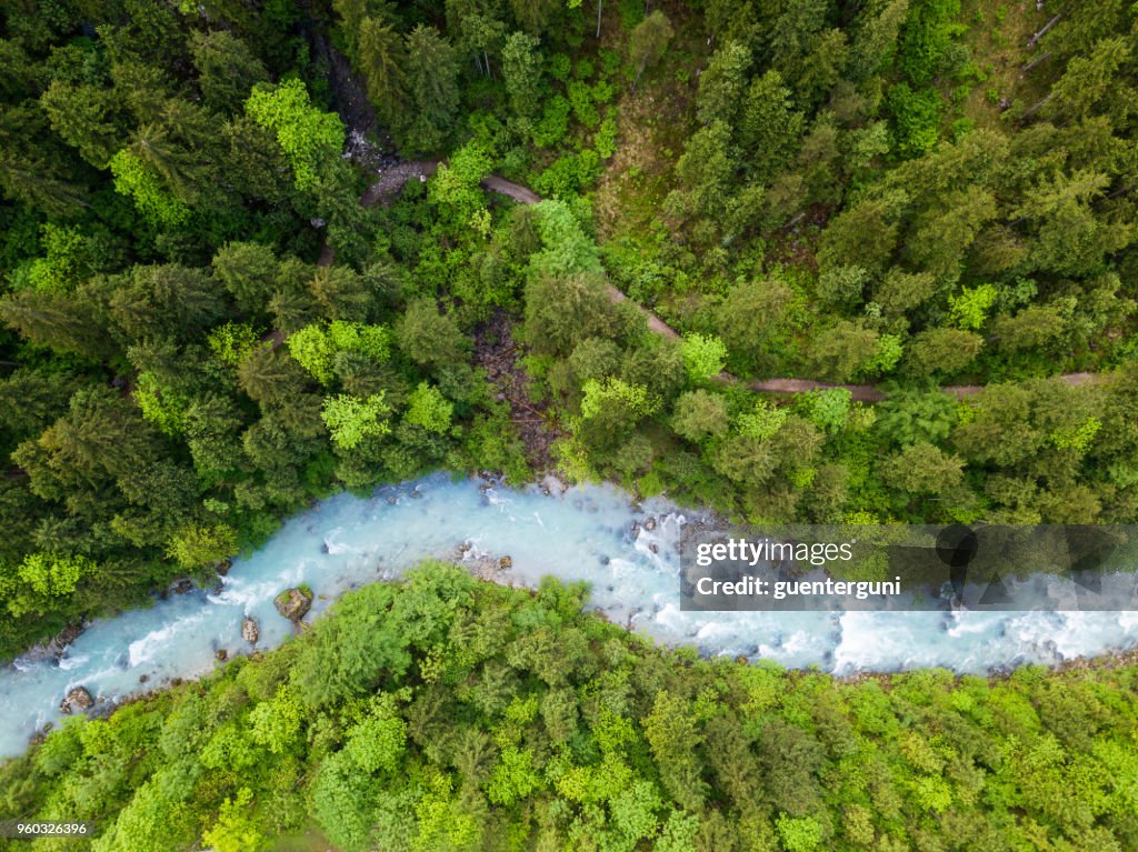 Whitewater River in una foresta primaverile verde (Steyr, Alta Austria)